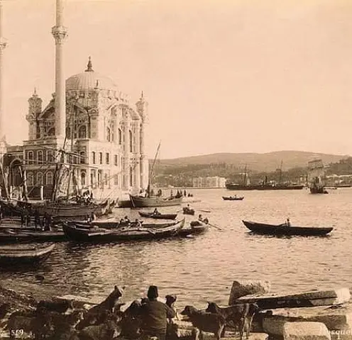 blog image